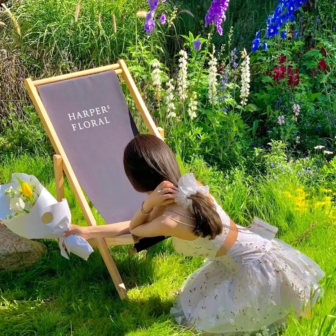 野丫头大进击